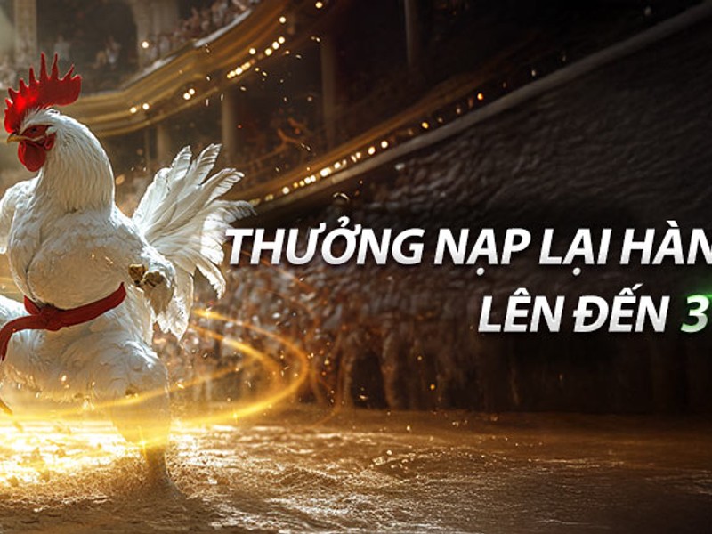 Hoàn trả hàng ngày slot J88VIP1